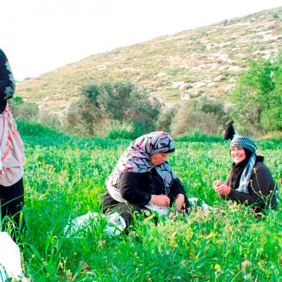 Our hand is yours and your hand is life